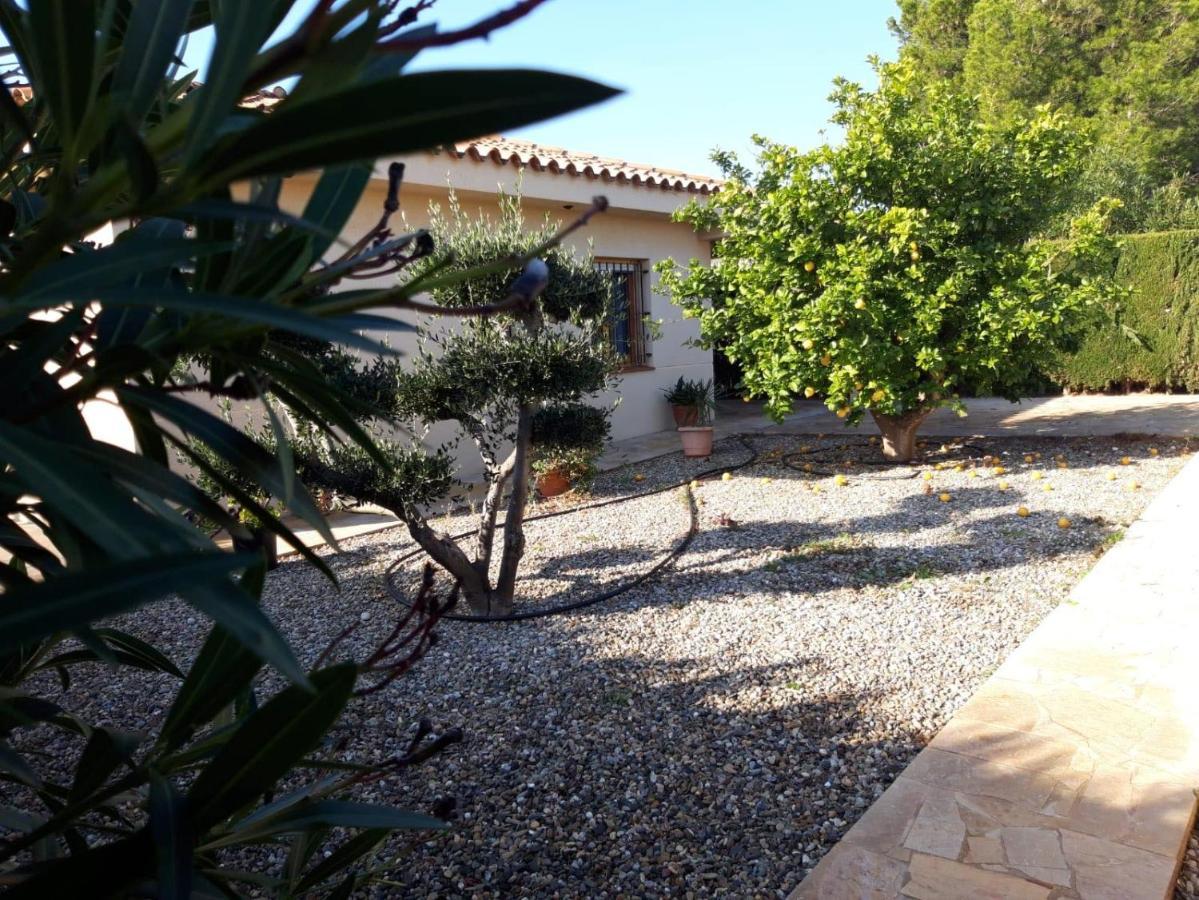 Casa La Rana Vila Calafat Exterior foto